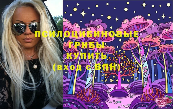 MDMA Бородино