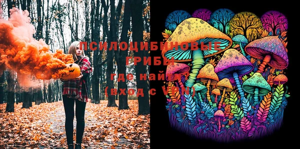 мяу мяу мука Бугульма